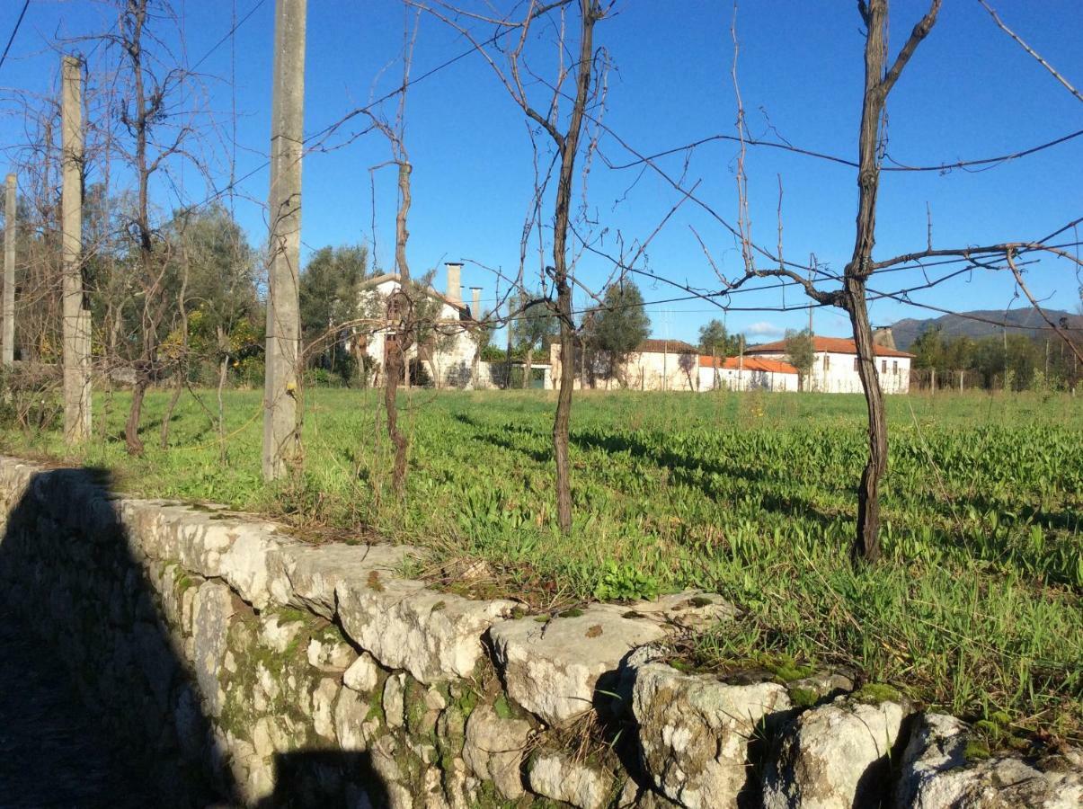 Bed and Breakfast Quinta De Areias à Crespos Extérieur photo